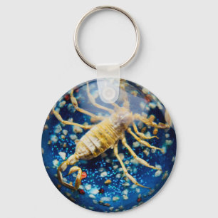Scorpion Keychain
