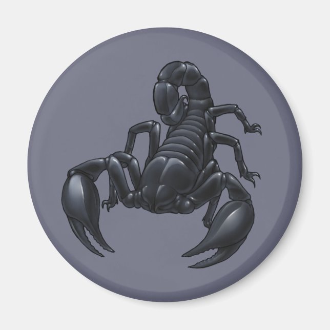 Scorpion Magnet (Front)