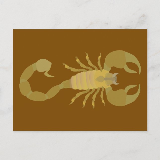 Scorpion Postcard (Front)