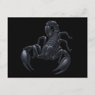 Scorpion Postcard