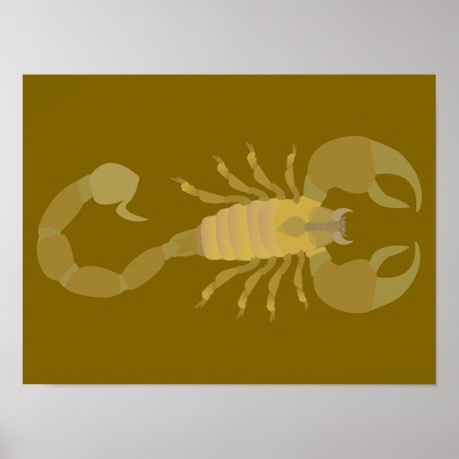 Scorpion Poster (Front)