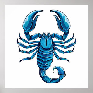 Scorpion Poster
