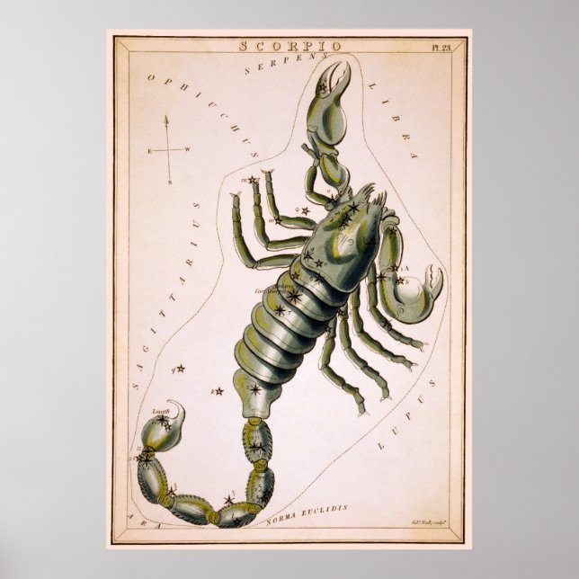 SCORPION SCORPIO CONSTELLATION  1825 POSTER (Front)