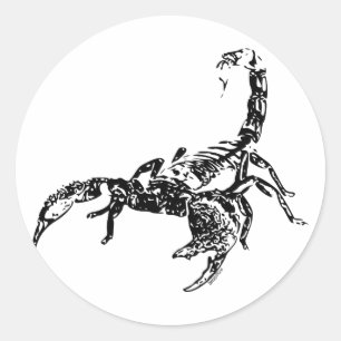Scorpion - Sticker