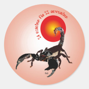 Scorpiun 24 october fin 22 november Aufkleber Classic Round Sticker