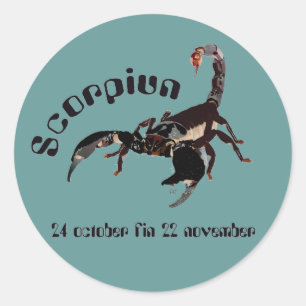Scorpiun 24 october fin 22 november Aufkleber Classic Round Sticker
