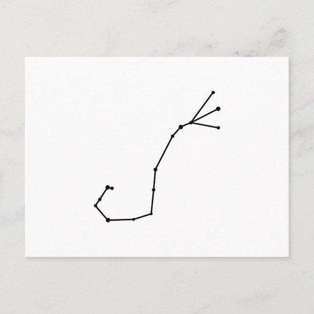 Scorpius Zodiac Postcard (Front)