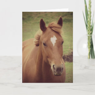 Scotch, Birthday Card