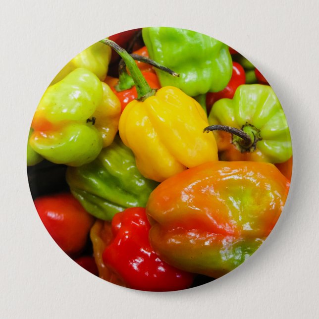 Scotch Bonnet Chilli Peppers 10 Cm Round Badge (Front)