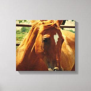 Scotch Canvas Print