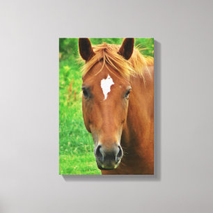 Scotch Head Shot Canvas Print