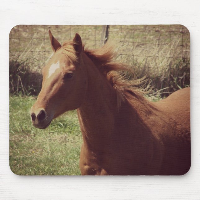 Scotch in Motion Mouse Pad (Front)