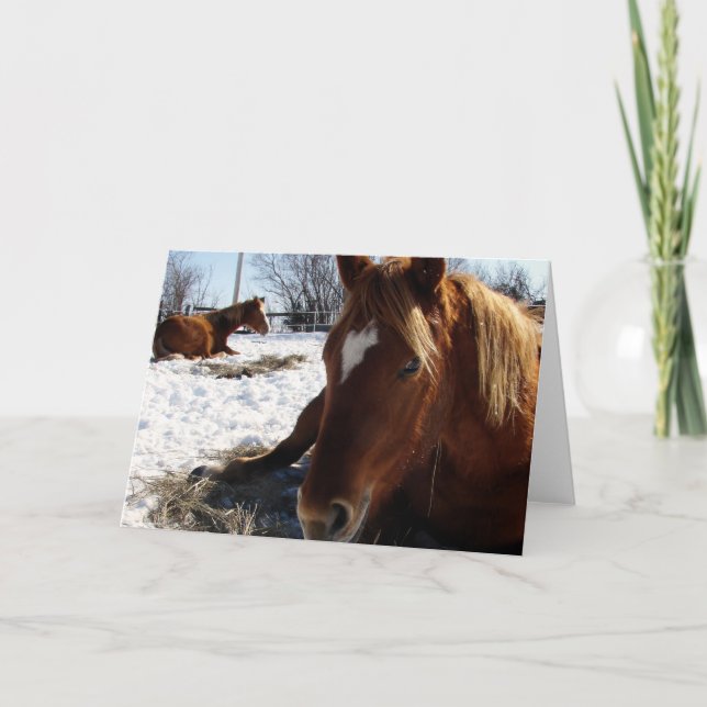 Scotch Sleeps Card (Front)