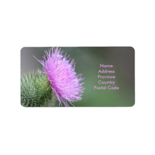 Scotch Thistle Label