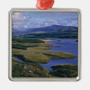 Scotland, Highland, Wester Ross, Loch Garry. An Metal Tree Decoration