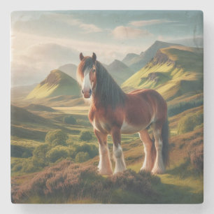 Scotland highlands Clydesdale horse Stone Coaster