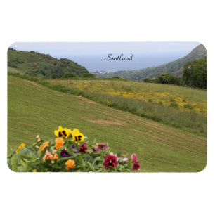 Scotland, Highlands, Ocean, Flowers, Photography Magnet