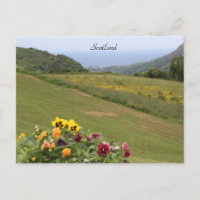 Scotland, Highlands, Ocean, Flowers, Photography