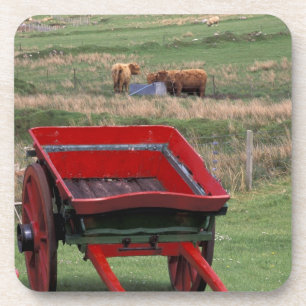 Scotland, Isle of Skye, Kilmuir. Farm animals Coaster