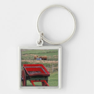 Scotland, Isle of Skye, Kilmuir. Farm animals Key Ring