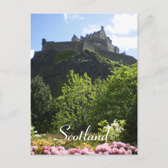 Scotland Postcard (Front)