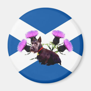 Scotland's Scottish Terrier, thistle Magnet