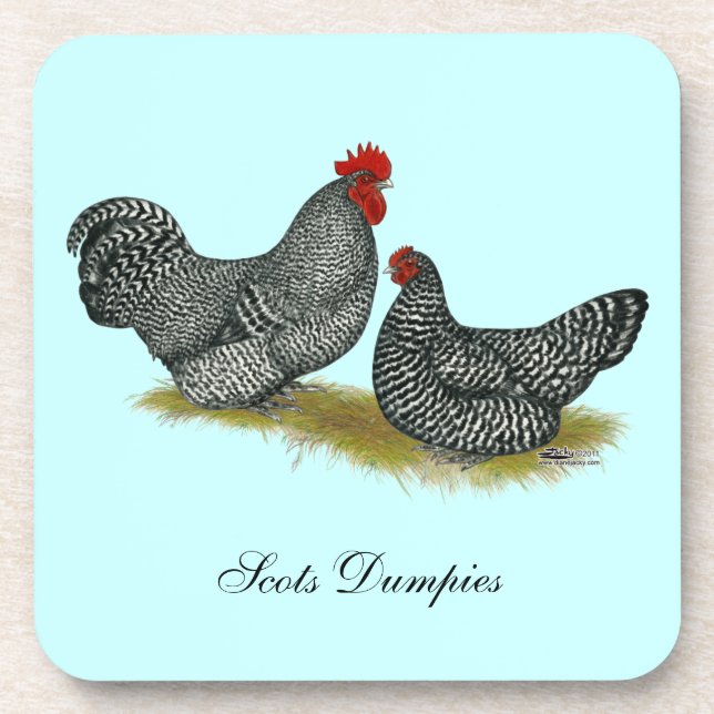 Scots Dumpy Chickens Coaster (Front)