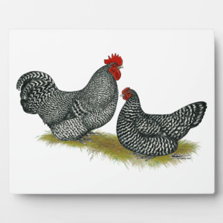 Scots Dumpy Chickens Plaque