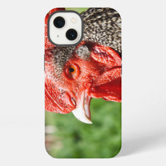Scots Grey Rooster Photograph iPhone 13 Case