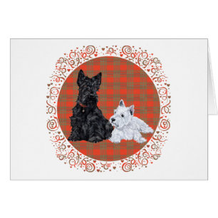 Scottie Adult & Westie Puppy