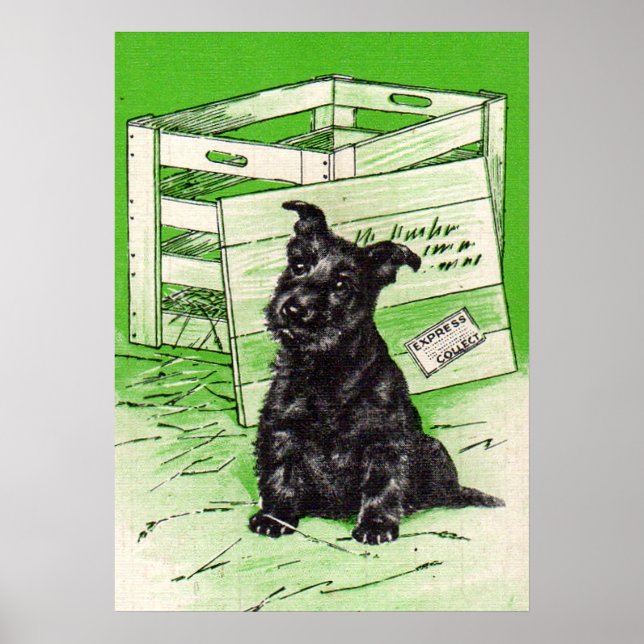 Scottie dog by special delivery poster (Front)