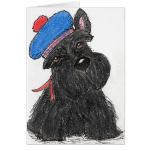 Scottie Dog Scottish beret greetings card birthday