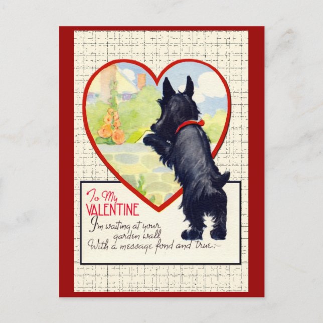 Scottie dog Valentine Scottish Terrier Holiday Postcard (Front)