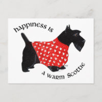 Scottie in Red Plaid Sweater