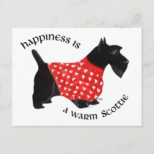 Scottie in Red Plaid Sweater Postcard
