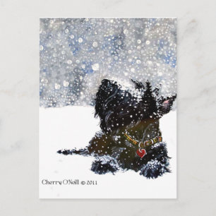 Scottie in the Snow Postcard