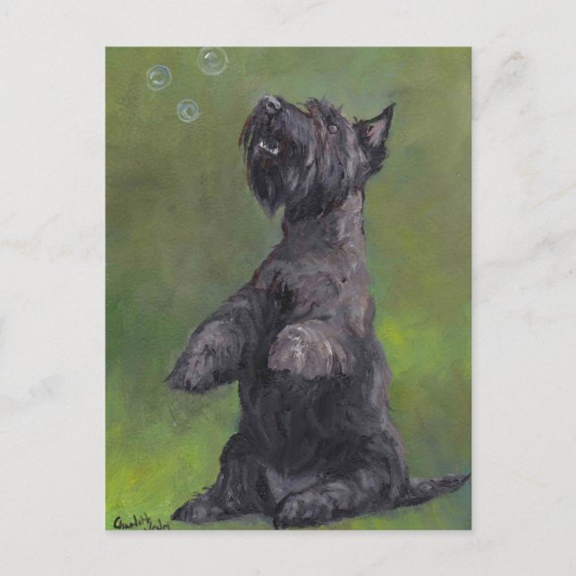 "Scottie Loves Bubbles" Dog Art Postcard (Front)