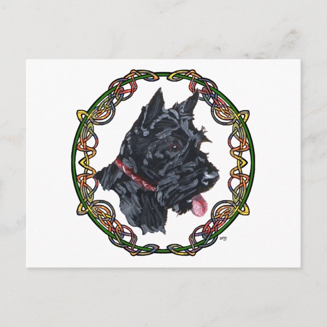 Scottie Portrait Celtic Knotwork Postcard (Front)