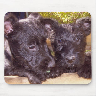Scottie Pups Mouse Pad