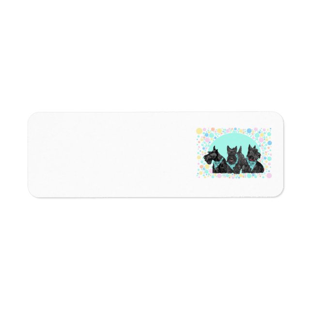 SCOTTIE Return Address Labels (Front)