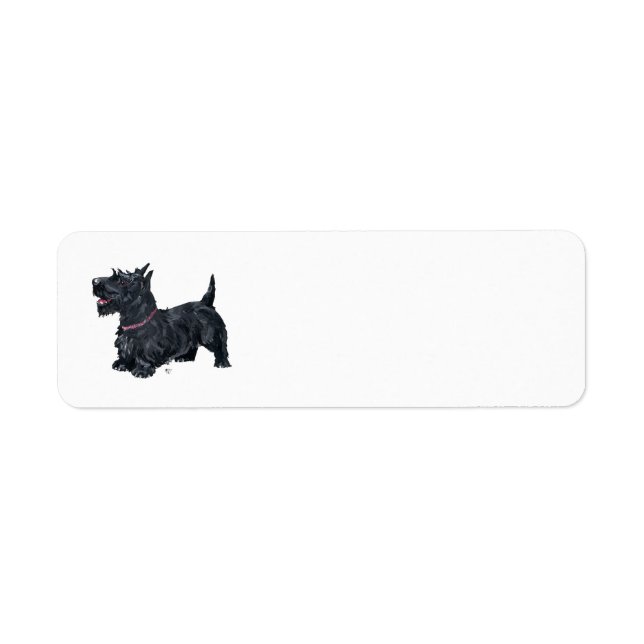 SCOTTIE Return Address Labels (Front)