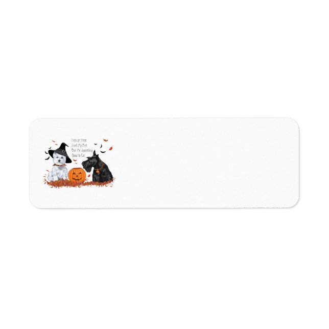 SCOTTIE Return Address Labels (Front)