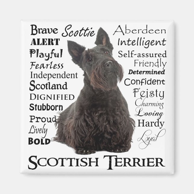 Scottie Traits Magnet (Front)