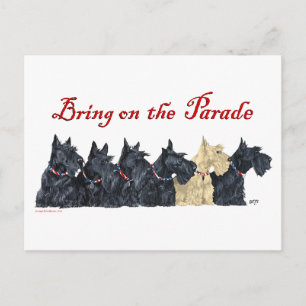 Scotties All in a Row Postcard