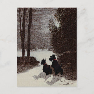 Scotties on Surreal Winter Night Postcard