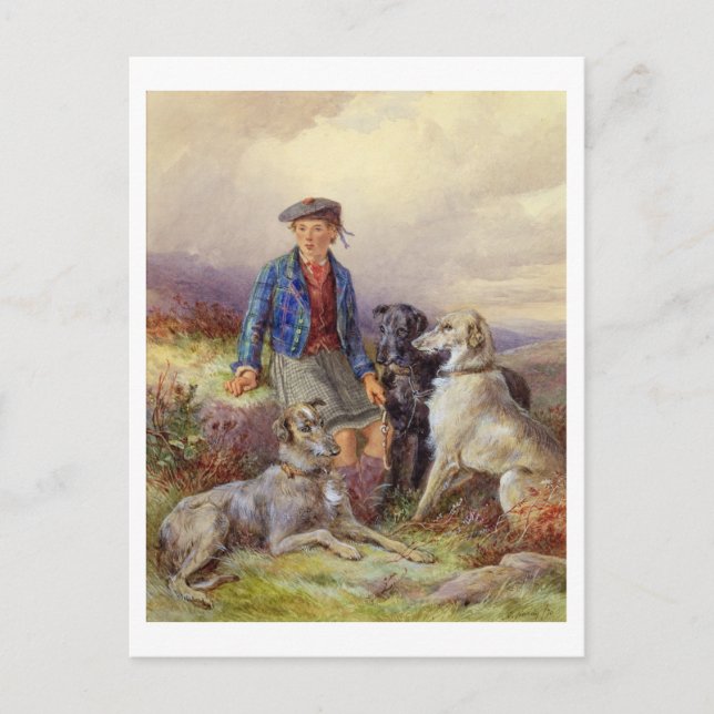 Scottish boy with wolfhounds in a Highland landsca Postcard (Front)