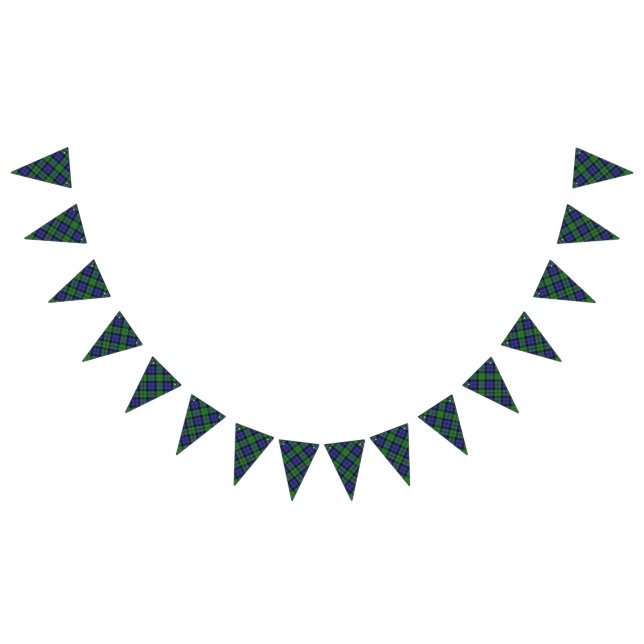 Scottish Clan MacEwen Tartan Bunting (All)