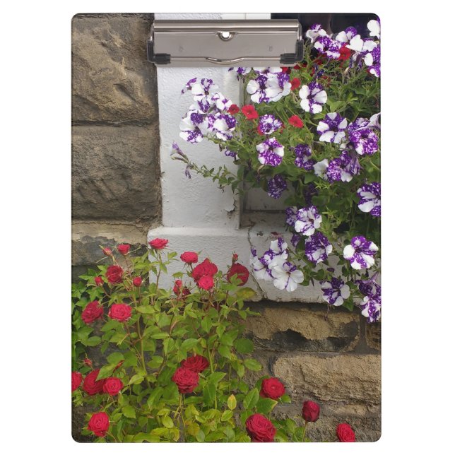 Scottish cottage window with petunias and roses clipboard (Front)