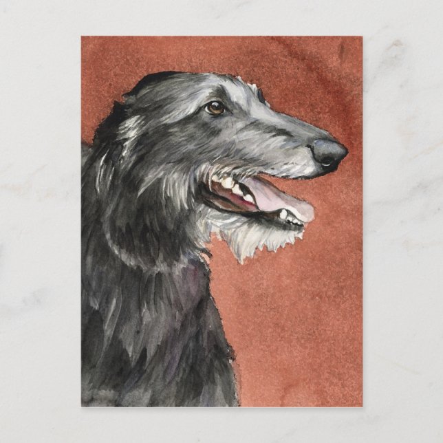 Scottish Deerhound Dog Art Postcard (Front)