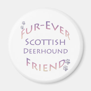 Scottish Deerhound Furever Friend Magnet